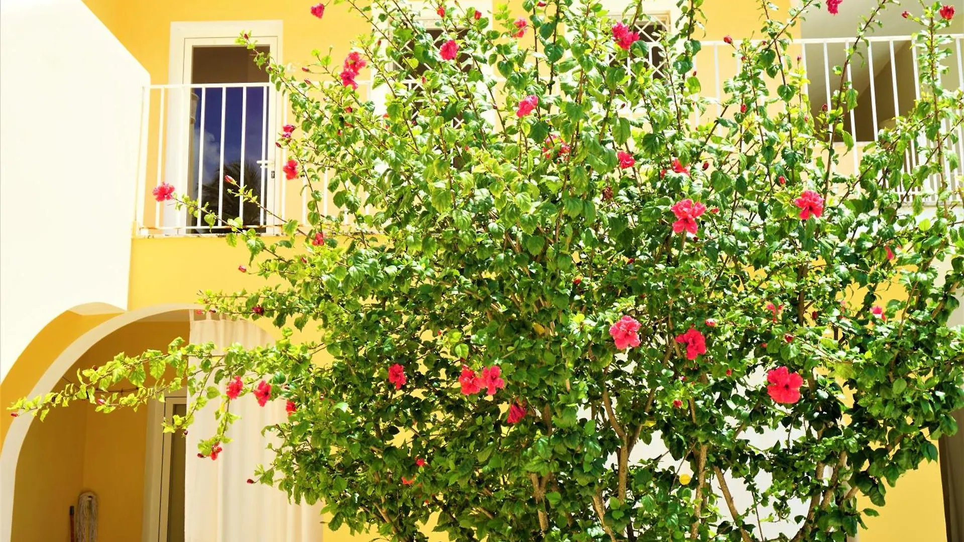 Apartman Apartamento Grunwald 3 Hotel Punta Cana